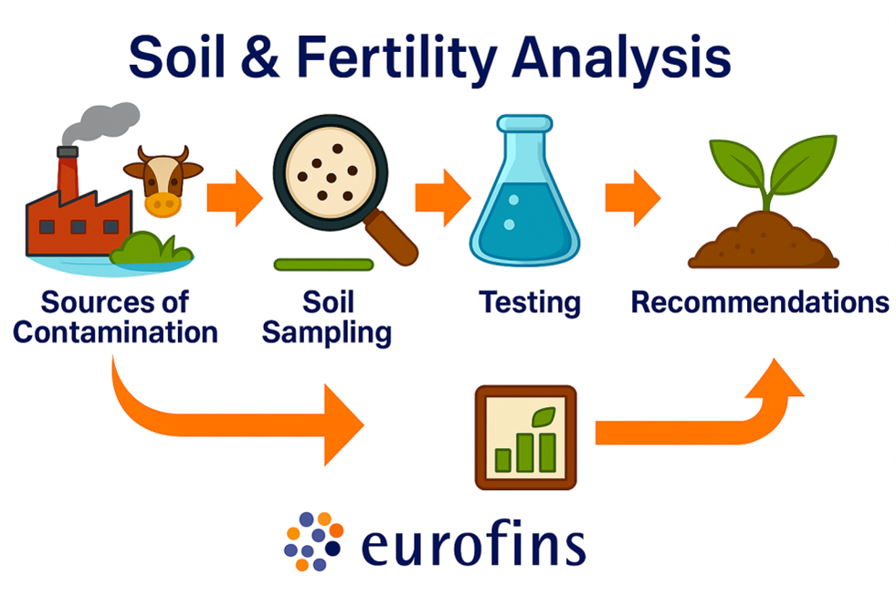 soil-and-fertility-analysis