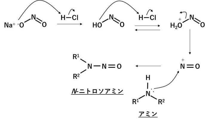 ニトロソアミン類の一般的な生成経路