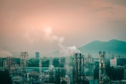 ダイオキシン類