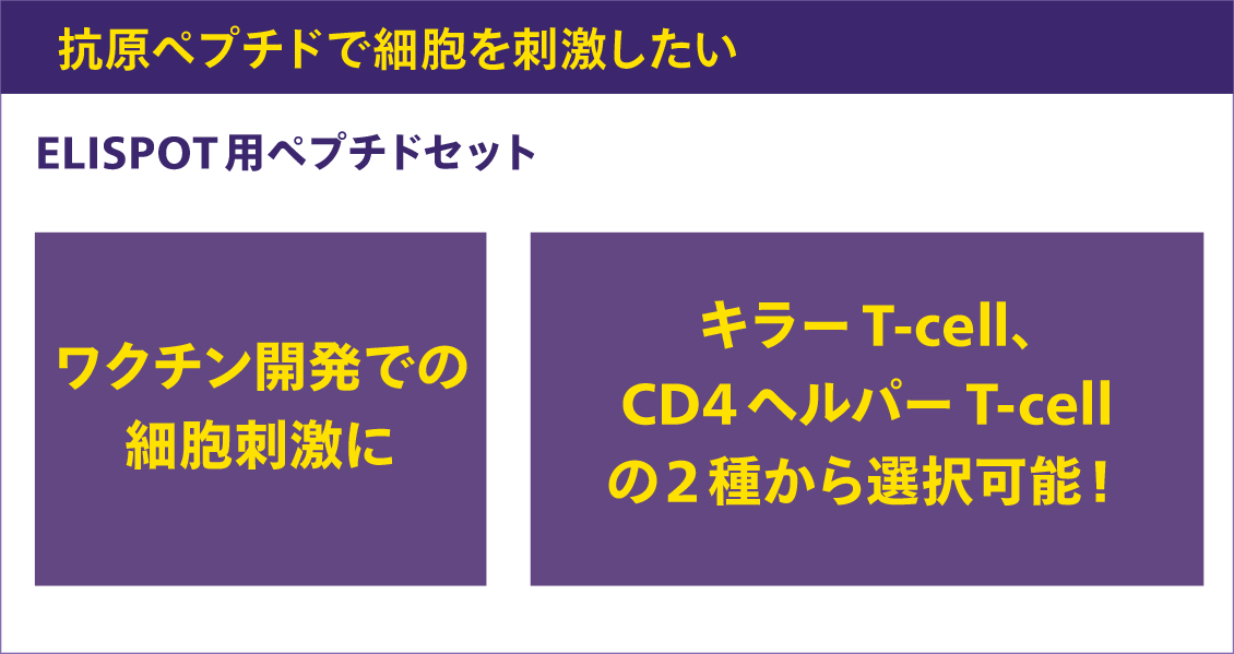 抗原ペプチドで細胞を刺激したいなら「ELISPOT用ペプチドセット」 ・ワクチン開発での細胞刺激に ・キラーT-cell、CD4 ヘルパーT-cellの2 種から選択可能！