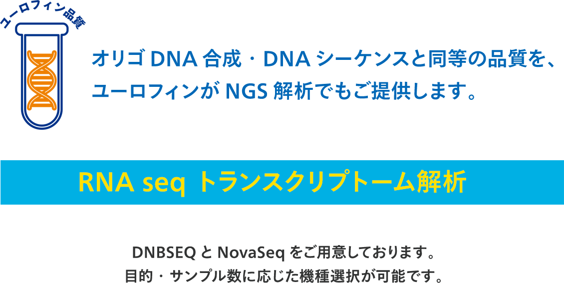 【ユーロフィン品質】
RNA-seqトランスクリプトーム解析
オリゴDNA合成・DNAシーケンスと同等の品質を、ユーロフィンがNGS解析でもご提供します。
DNBSEQとNovaSeqをご用意しております
目的・サンプル数に応じた機種選択が可能です
