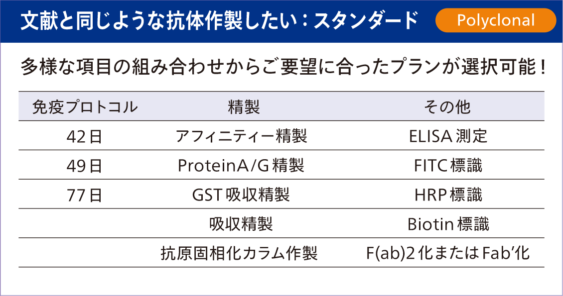 文献と同じような抗体作製したいなら「スタンダード」
多様な項目の組み合わせからご要望に合ったプランが選択可能！