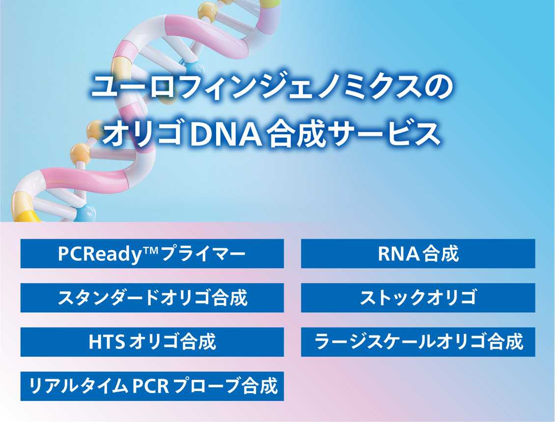 ユーロフィンジェノミクスのオリゴDNA合成サービス
・PCReady™プライマー
・スタンダードオリゴ合成
・HTSオリゴ合成
・リアルタイムPCRプローブ合成
・RNA合成
・ストックオリゴ
・ラージスケールオリゴ合成