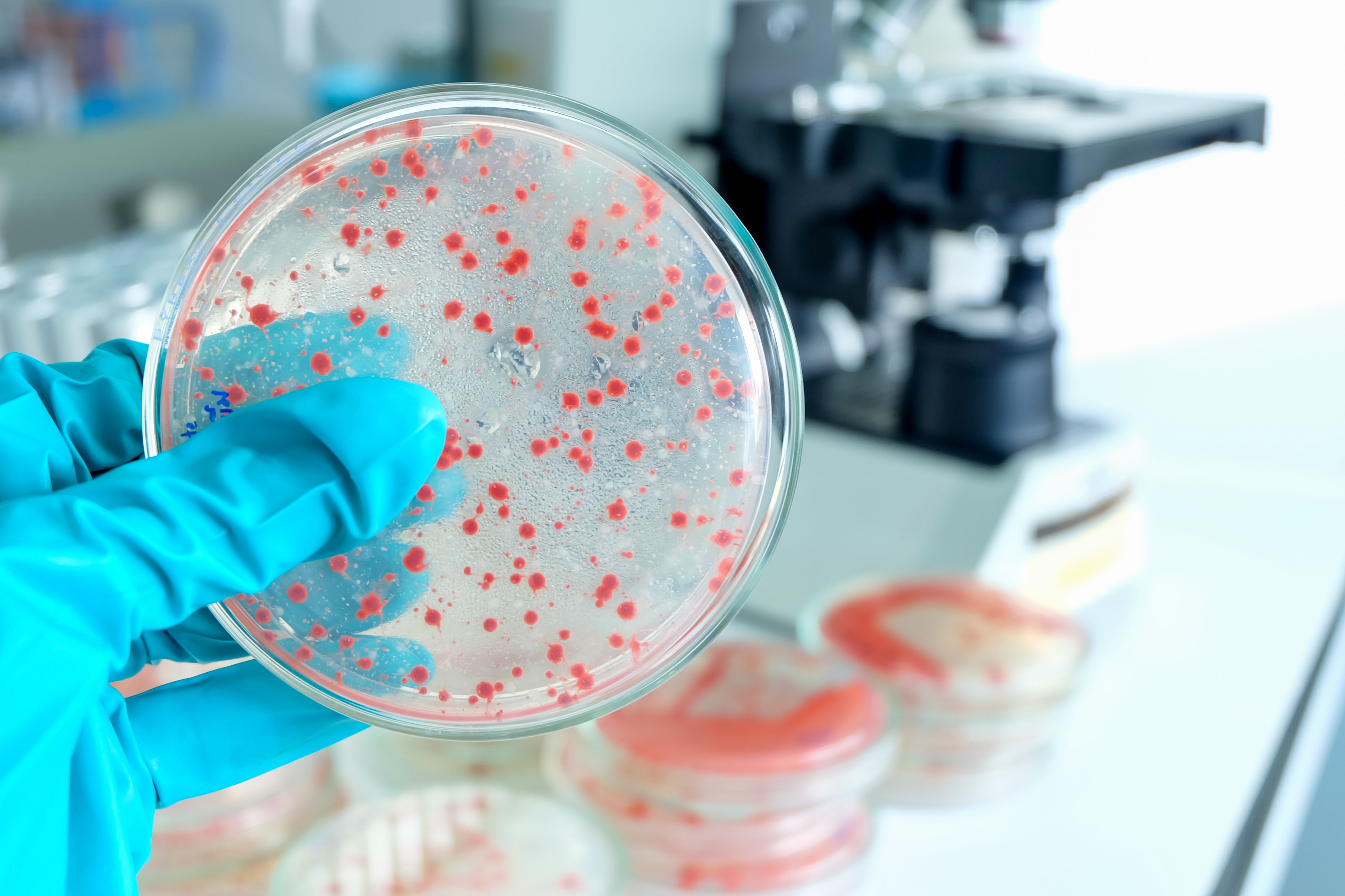 Микробиологическая лаборатория картинки для презентации