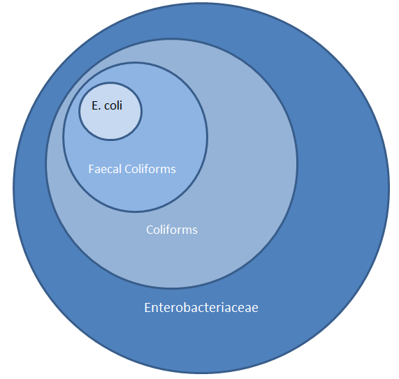 Coliforms