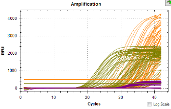 PCR