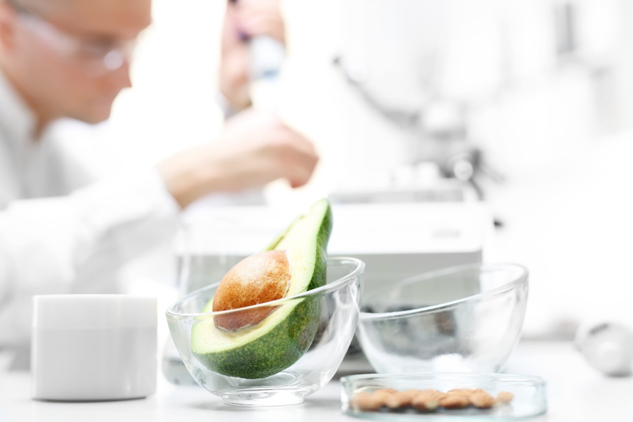 Avocado in glass bowl in scientific testing laboratory