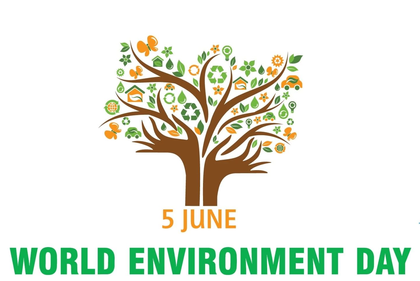 World Environment Day 2025 - Kaile Meagan