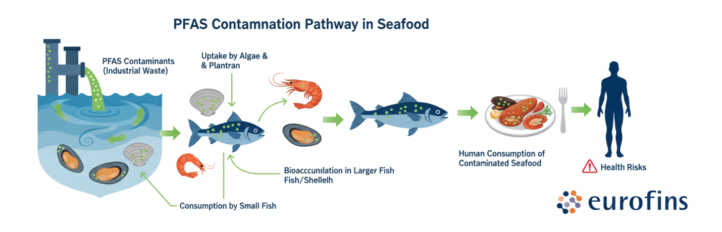 pfas-in-sea-food-testing