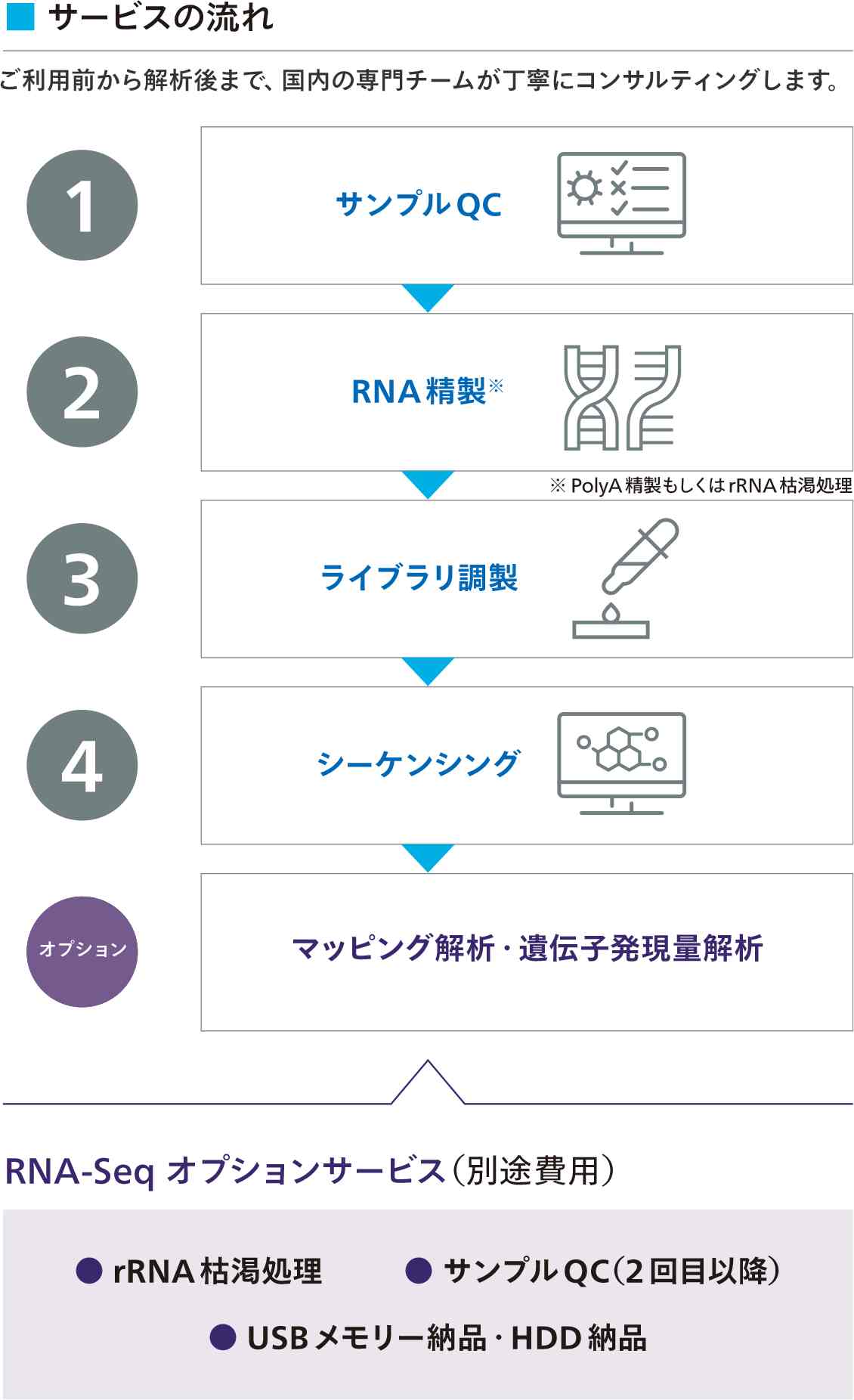 サービスの流れ
1.サンプルQC
2.RNA 精製 ※PolyA精製もしくはrRNA枯渇処理
3.ライブラリ調製
4.シーケンシング
5.オプション
マッピング解析
遺伝子発現量解析
RNA-Seq オプションサービス（別途費用）
・rRNA枯渇処理
・サンプルQC（2回目以降）
・USBメモリー納品・HDD納品
