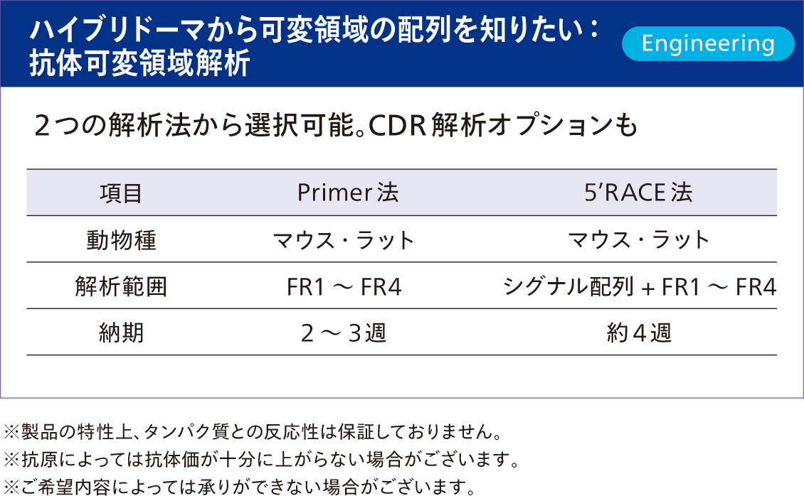 ハイブリドーマから可変領域の配列を知りたいなら「抗体可変領域解析」
２つの解析法から選択可能。
CDR 解析オプションもあります。