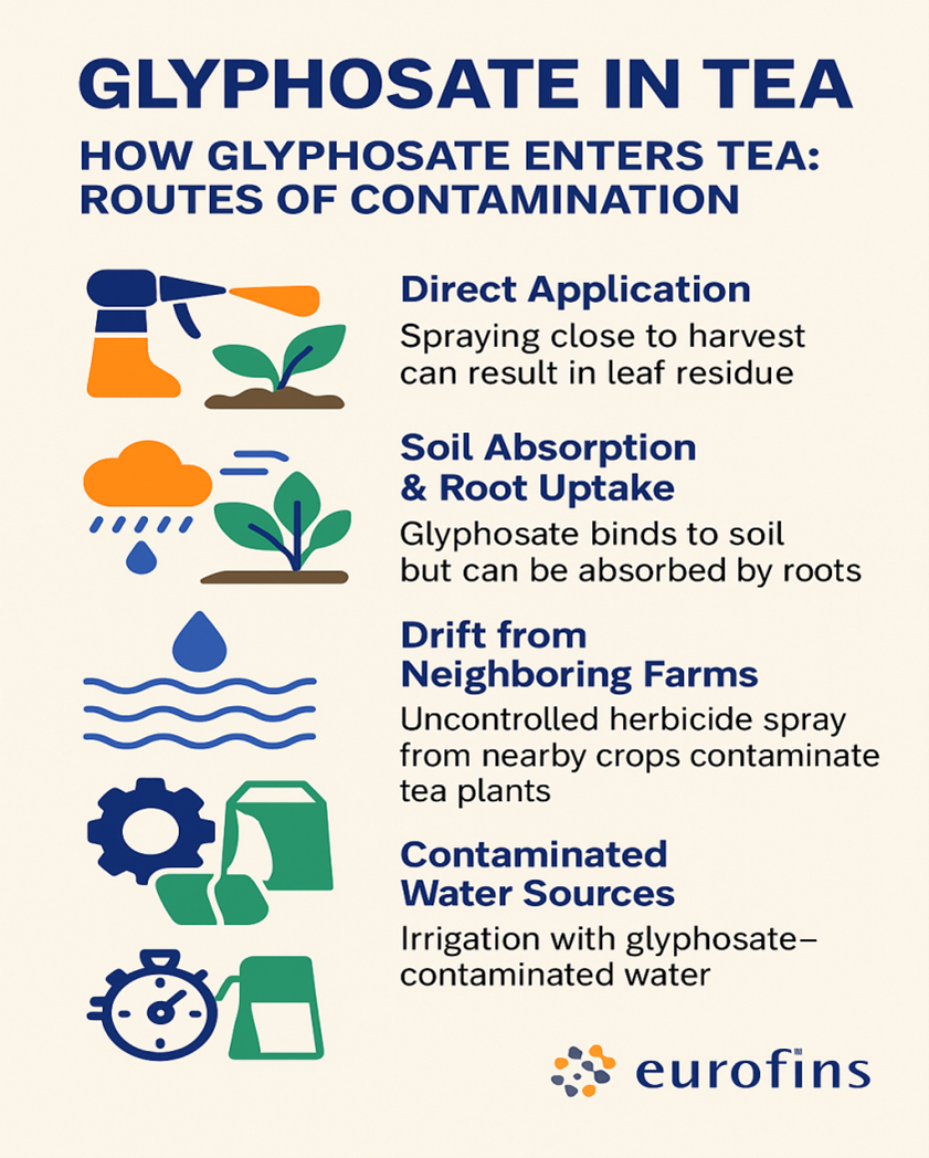 glyphosate-in-tea