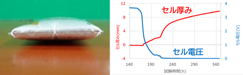 膨張加速試験結果
