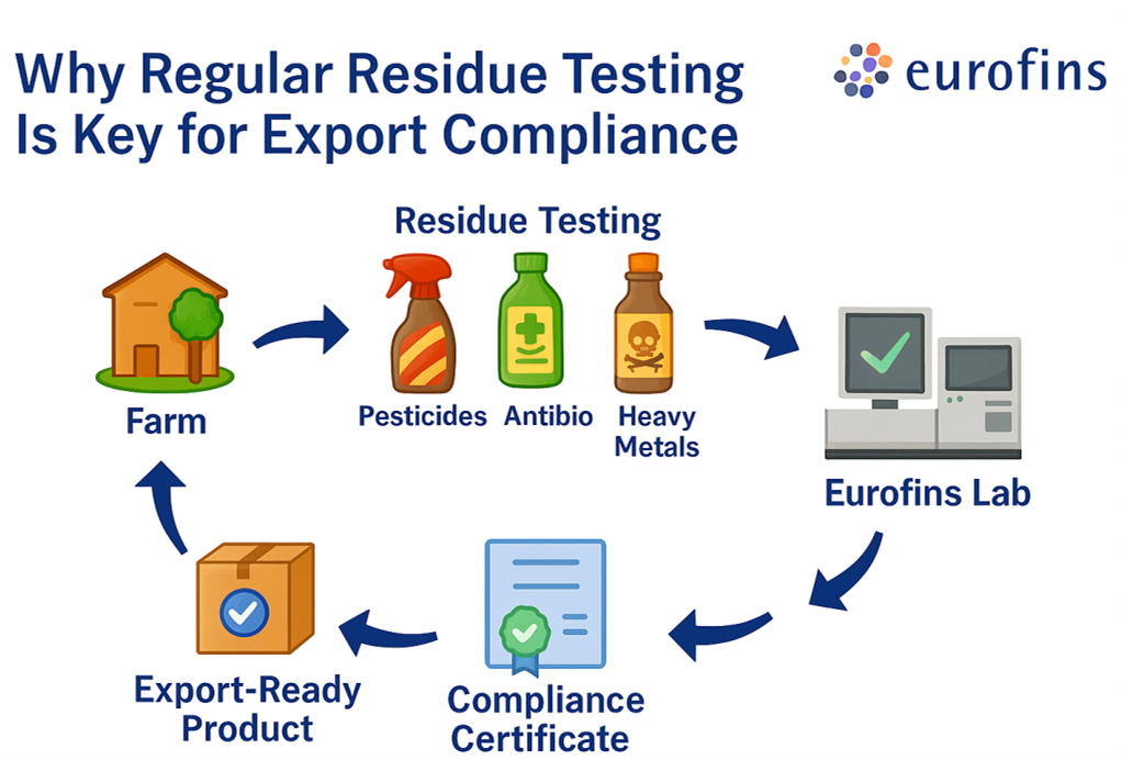 Why Regular Residue Testing Is Key for Export Compliance