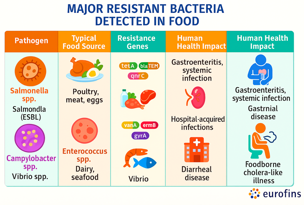 Major Resistant Bacteria Detected in Food