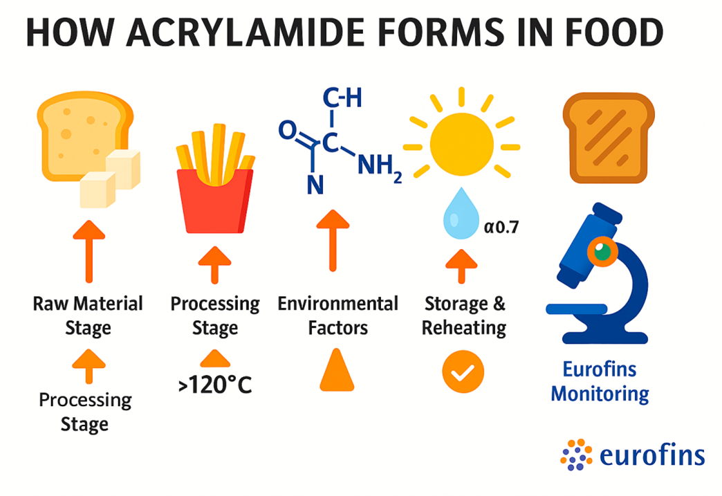 how-acrylamide-forms-in-food