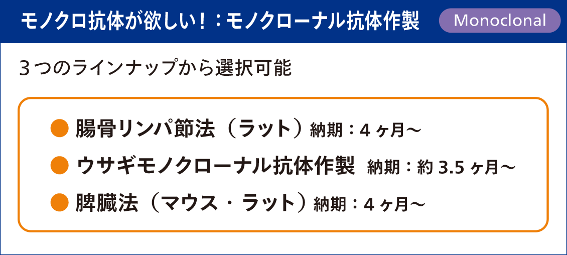 モノクロ抗体が欲しいなら「モノクローナル抗体作製」
3つのラインナップから選択可能
・ 腸骨リンパ節法（ラット） 納期：4 ヶ月～
・ウサギモノクローナル抗体作製 納期：約3.5 ヶ月～
・脾臓法（マウス・ラット） 納期：4 ヶ月～