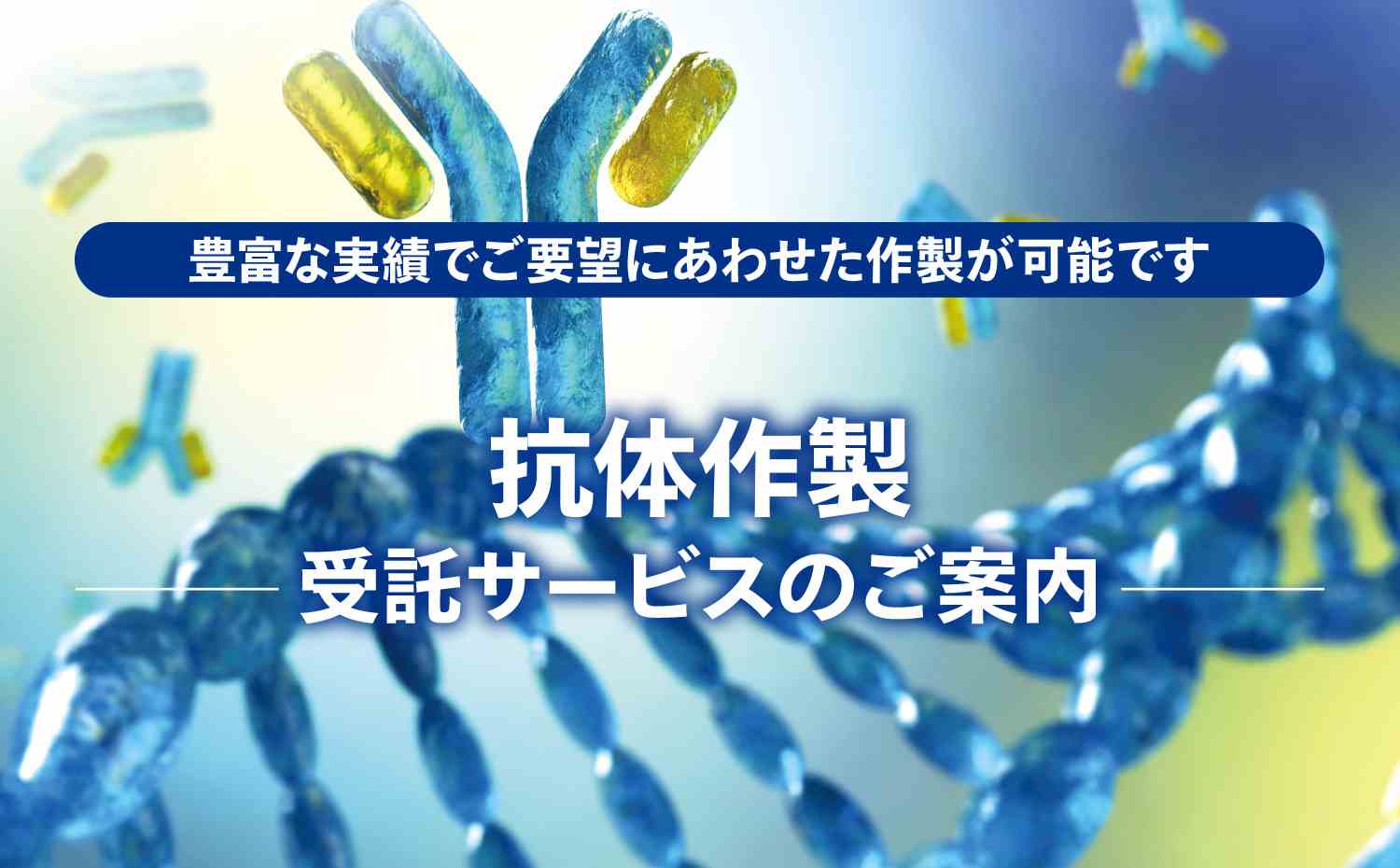 抗体作製受託サービスのご案内 豊富な実績でご要望にあわせた作製が可能です