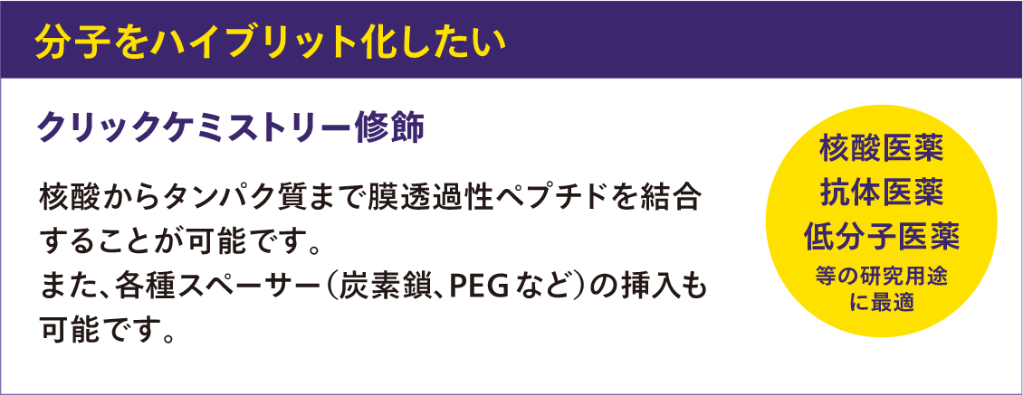 分子をハイブリット化したいなら「クリックケミストリー修飾」
核酸からタンパク質まで膜透過性ペプチドを結合することが可能です。
また、各種スペーサー（炭素鎖、PEGなど）の挿入も可能です。
核酸医薬、抗体医薬、低分子医薬、等の研究用途に最適
