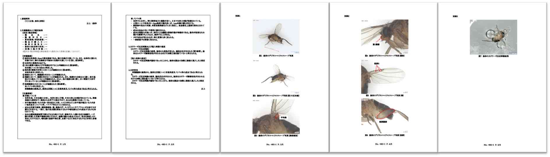 虫鑑定新書式