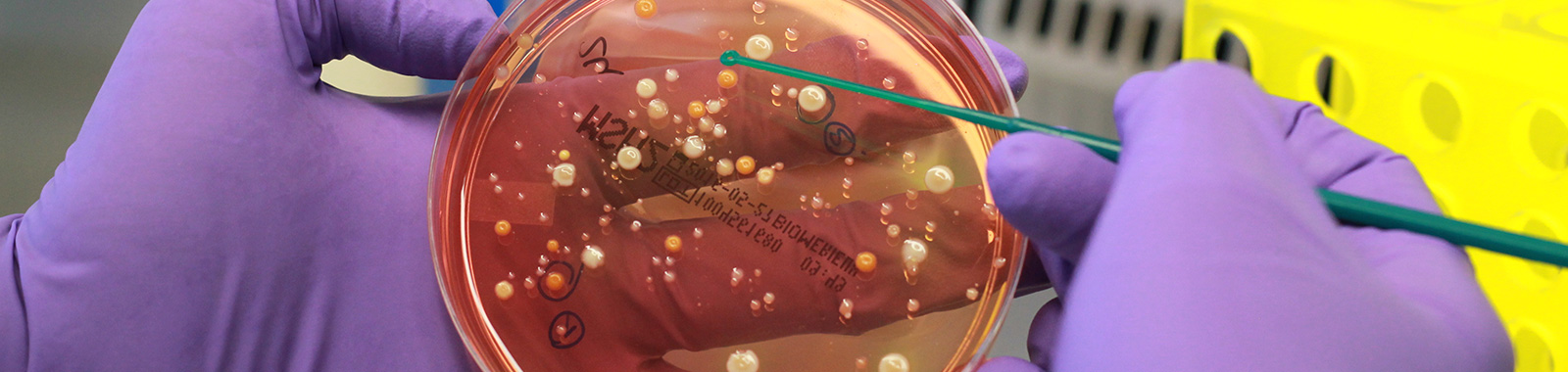 Eurofins Cosmetics Microbiology France