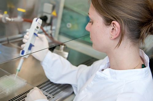 A woman in a white lab coat and gloves uses a handheld micropipette to transfer liquid into a multiwell plate inside a laboratory biosafety cabinet, with lab equipment and tubing visible behind a glass shield.