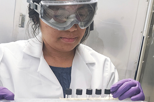 Laboratory worker wearing protective goggles, a white lab coat, and purple gloves holds a rack of small sample vials, carefully inspecting the liquids inside in a controlled lab environment.