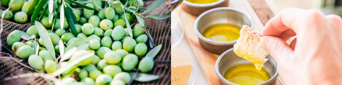 橄欖油攙偽檢測_橄欖油品質檢測