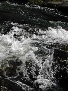 surfacewater