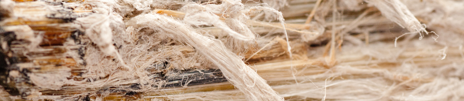 Asbest Sicher Und Schnell Erkennen