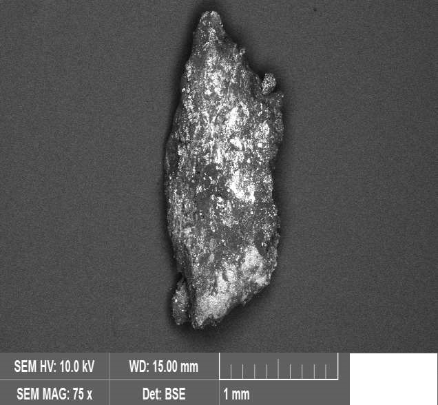 SEM Elemental Composition