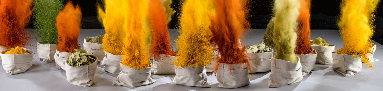 Food Fraud Management