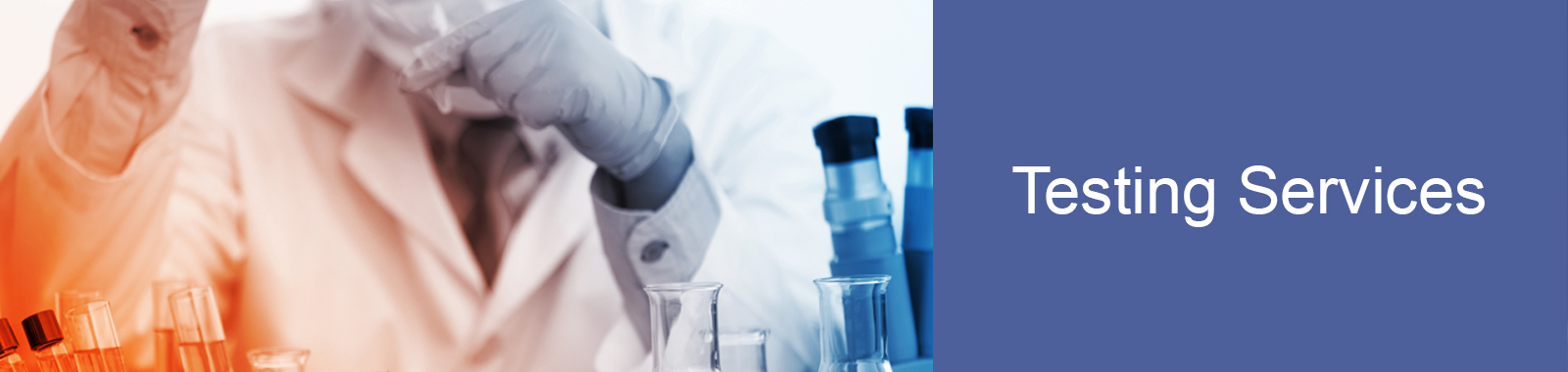 Testing Services