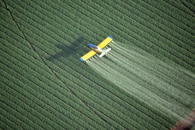 Expedited Pesticide Testing for Produce