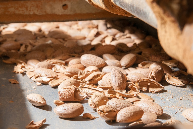 EPRI: Rapid Enteric Indicator Testing