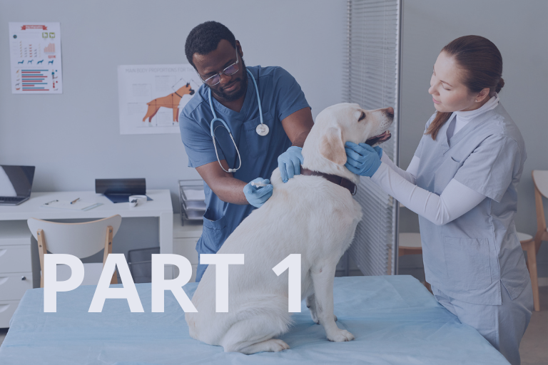 Blog: Developing New Veterinary Products