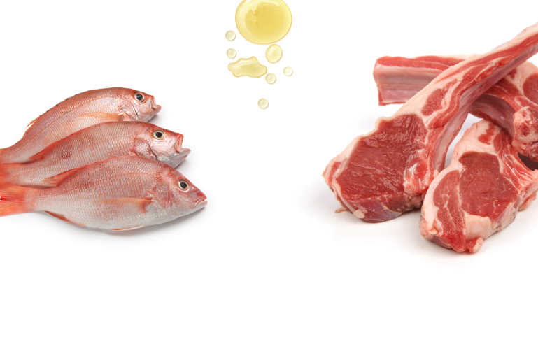 Meat Detection & Fish Speciation