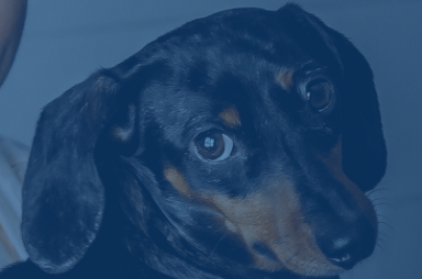 Guaranteed Analysis: What it's all about