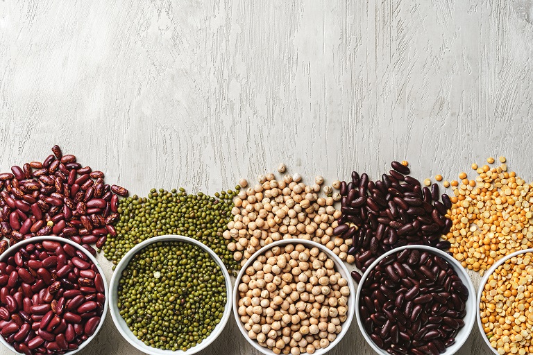 Testing Novel Protein Materials