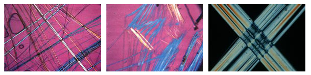 Asbestos Testing - Polarized Light Microscopy (PLM)