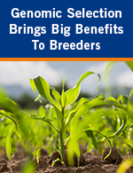 Genomic Selection Brings Big Benefits to Breeders