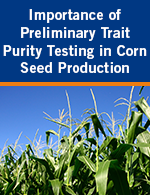 Importance of Preliminary Trait Purity Testing In Corn Seed Production