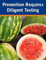 Prevention Requires Diligent Testing