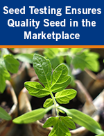 Seed Testing Ensures Quality Seed in the Marketplace
