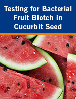 Testing for Bacterial Fruit Blotch in Cucurbit Seed