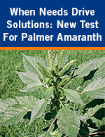 When Need Drives Solutions: New Test For Palmer Amaranth