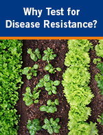 Why Test for Disease Resistance?