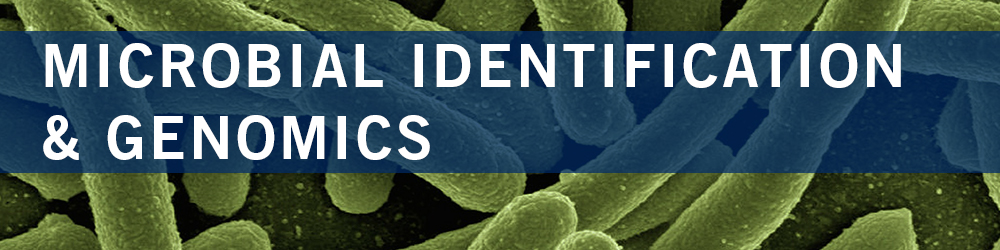 Microbial Identification & Genomics