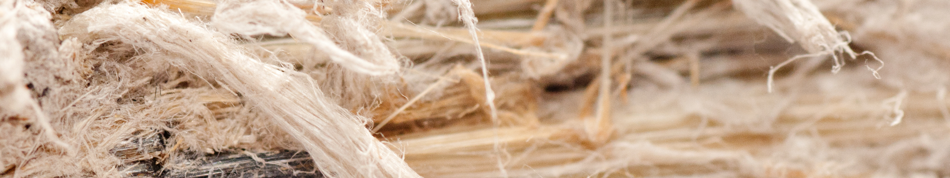 asbestos testing