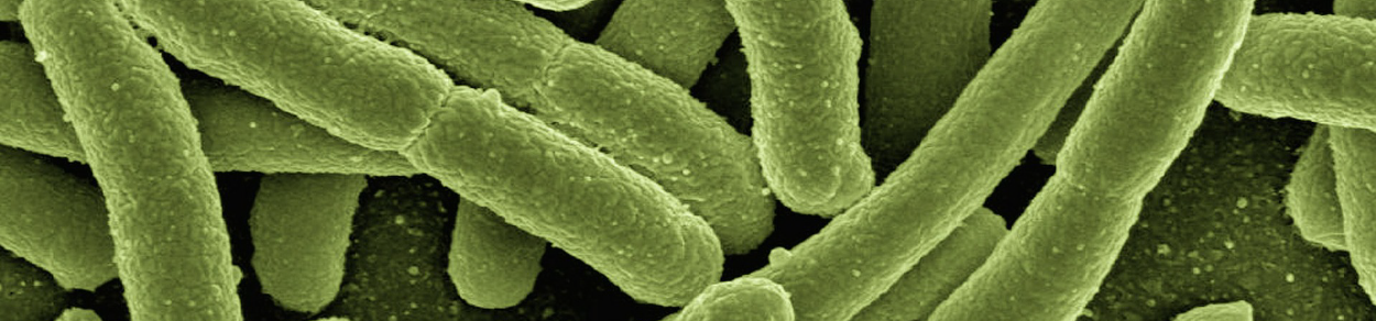 Eurofins BioDiagnostics Biologicals Single Species Identification